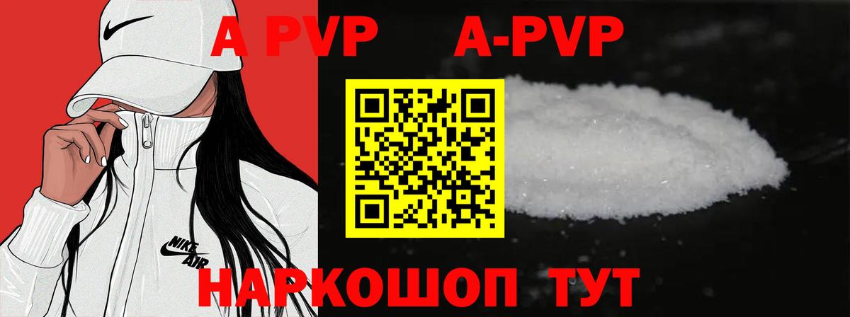 Alfa_PVP СК КРИС Кириши