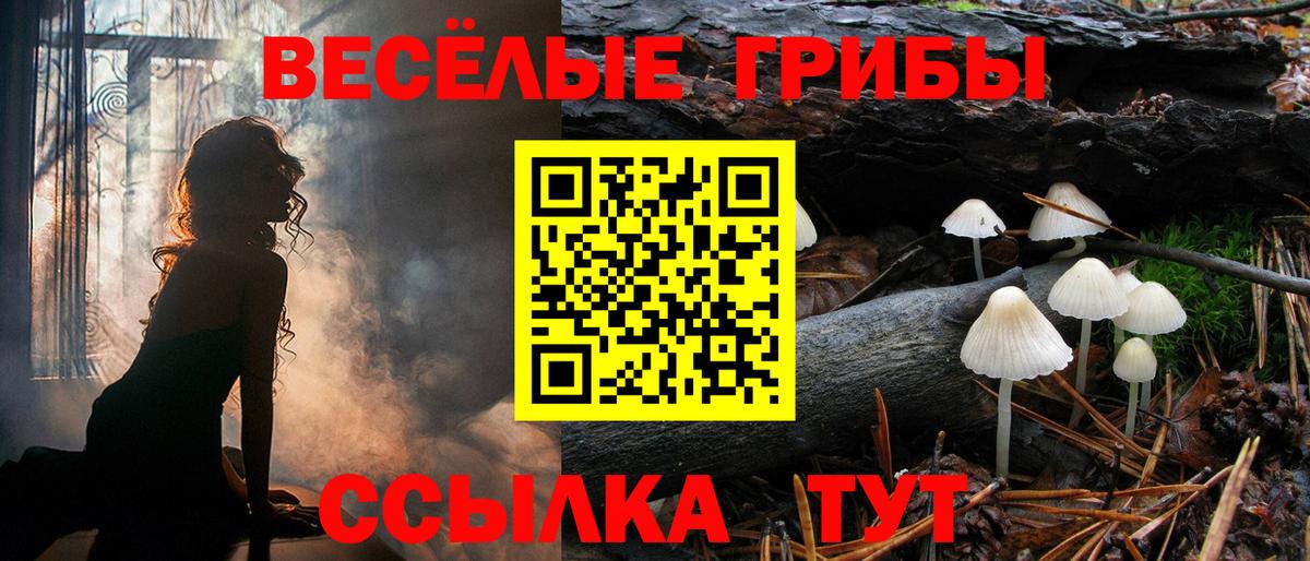 Псилоцибиновые грибы мухоморы Кириши