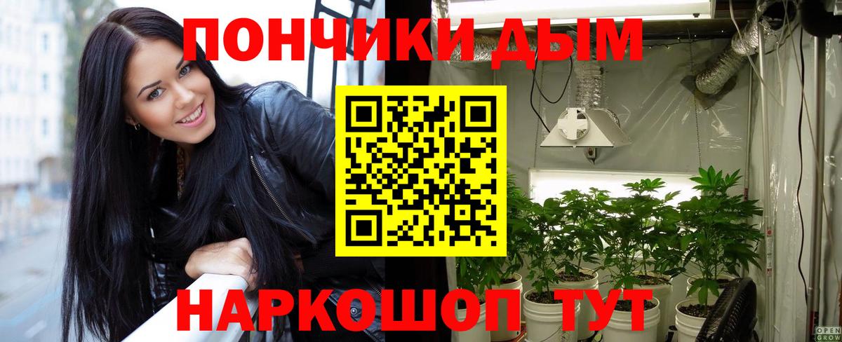 Бошки Шишки планчик Кириши